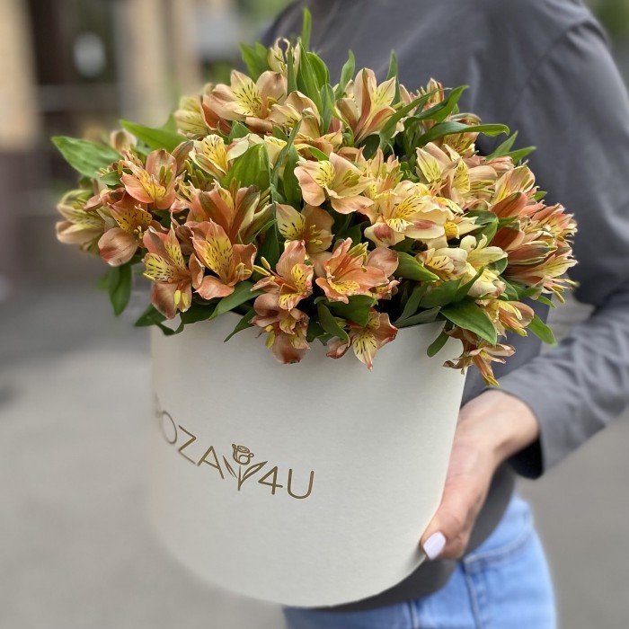 21 оранжевая альстромерия в коробке