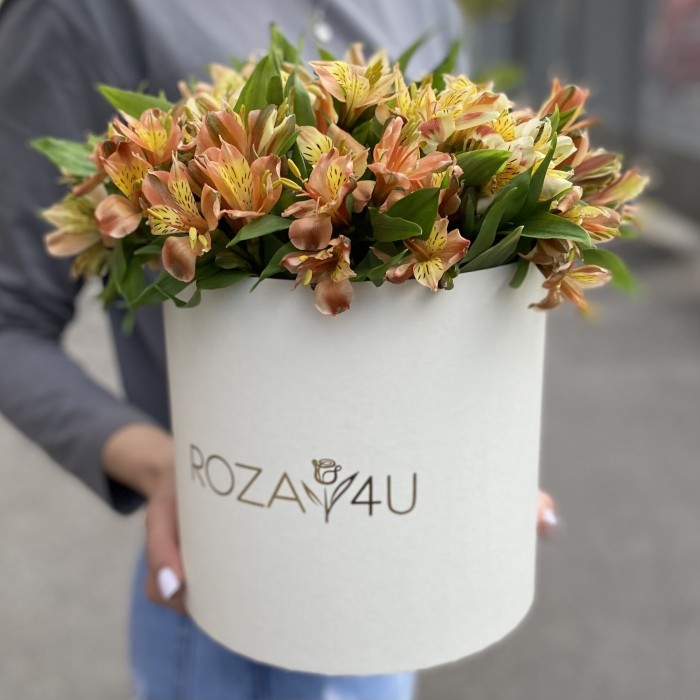21 оранжевая альстромерия в коробке