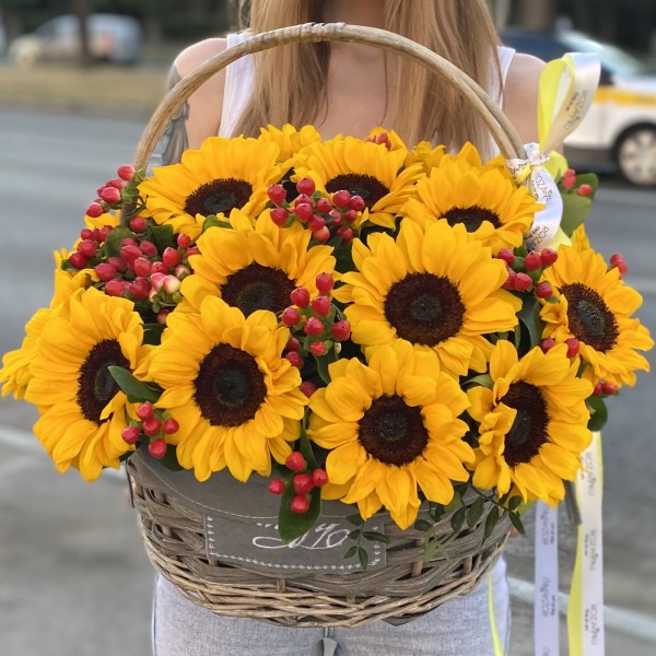 21 подсолнух с гиперикумом в корзине