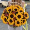 21 подсолнух с гиперикумом в корзине