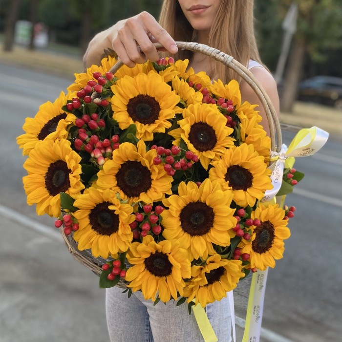 21 подсолнух с гиперикумом в корзине