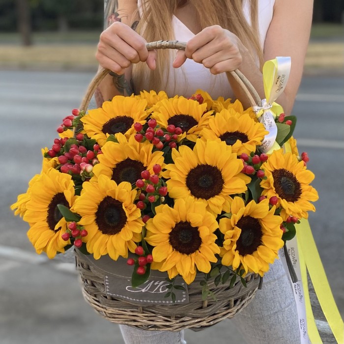 21 подсолнух с гиперикумом в корзине