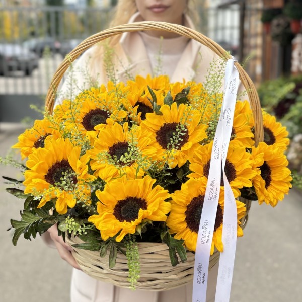 21 подсолнух с гринбеллом в корзине