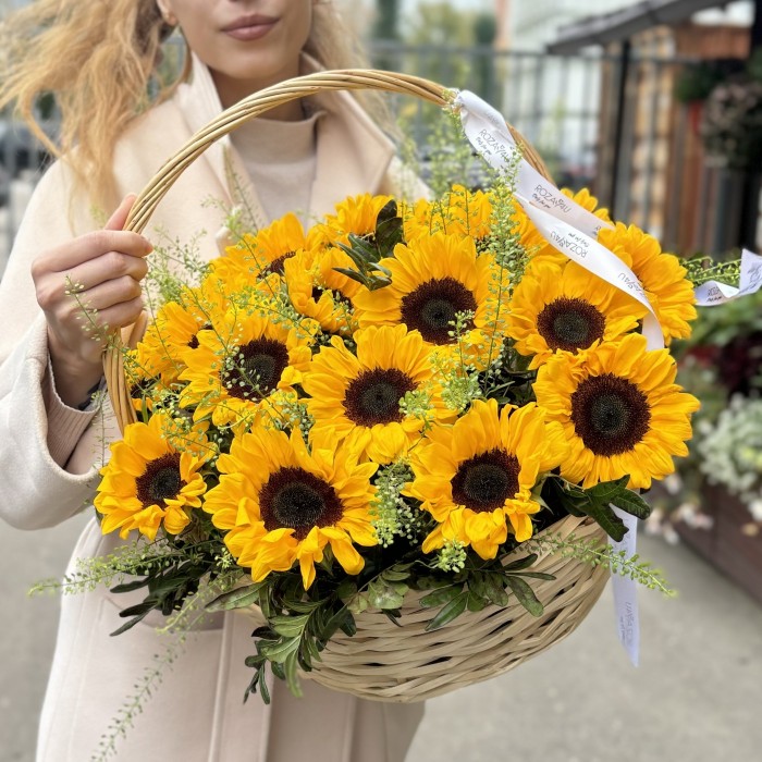 21 подсолнух с гринбеллом в корзине