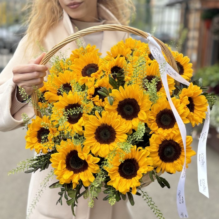 21 подсолнух с гринбеллом в корзине