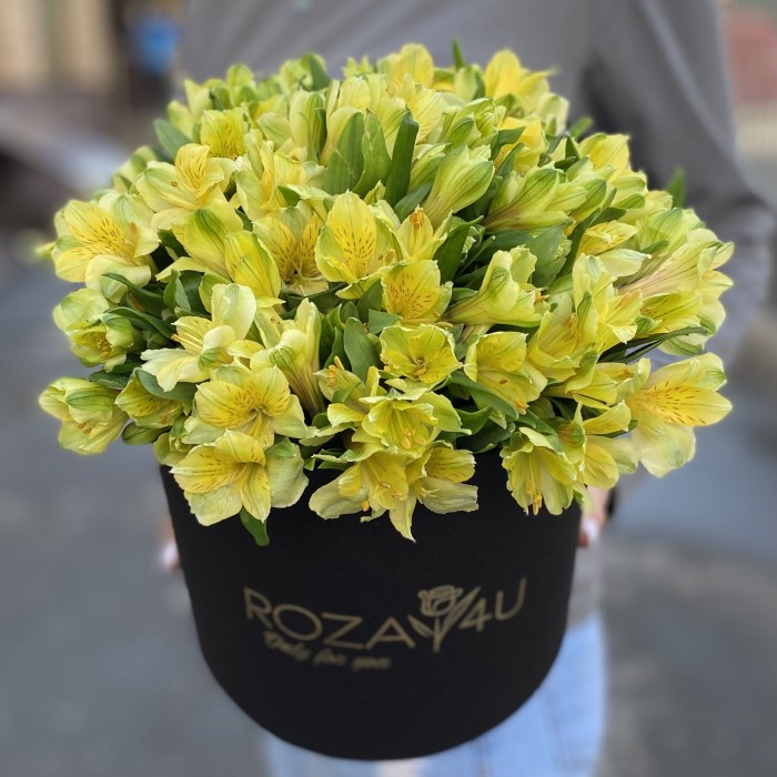 21 желтая альстромерия в коробке