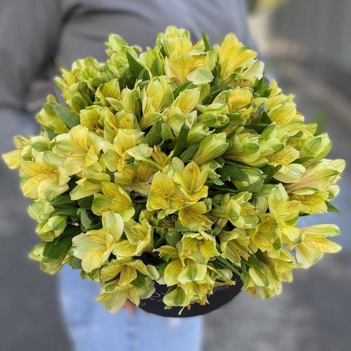 21 желтая альстромерия в коробке