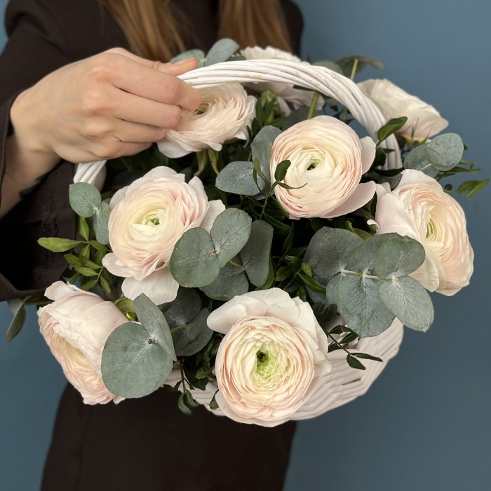 11 пышных Ранункулюсов Ханой с эвкалиптом