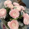 11 пышных розовых ранункулюсов с эвкалиптом
