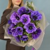 15 необыкновенных синих Анемонов