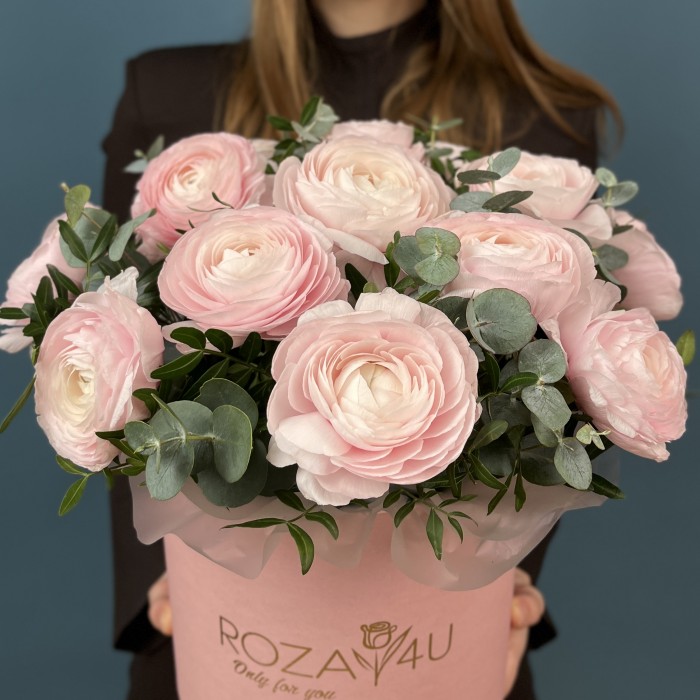 15 пышных розовых Ранункулюсов с эвкалиптом в коробке
