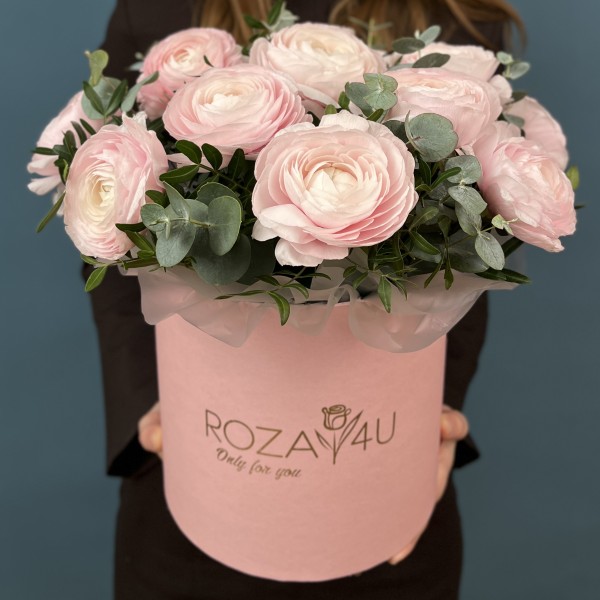 15 пышных розовых Ранункулюсов с эвкалиптом в коробке