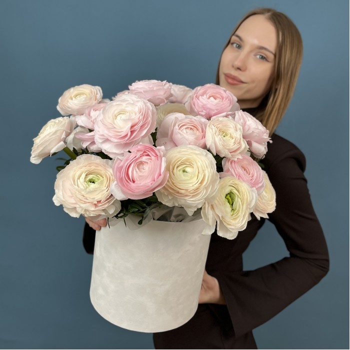 25 пышных розовых и розово-белых Ранункулбсов в коробке