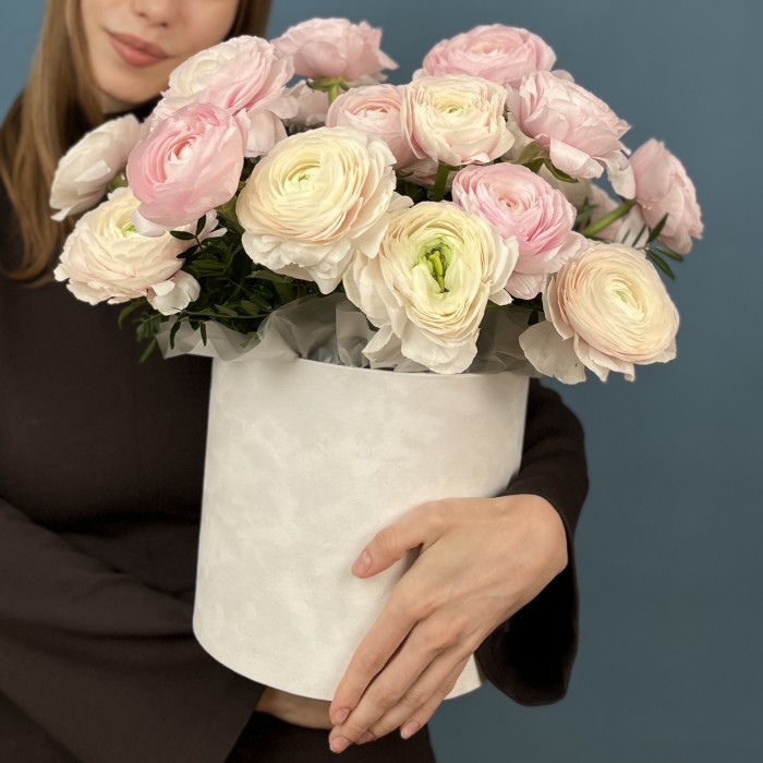 25 пышных розовых и розово-белых Ранункулбсов в коробке