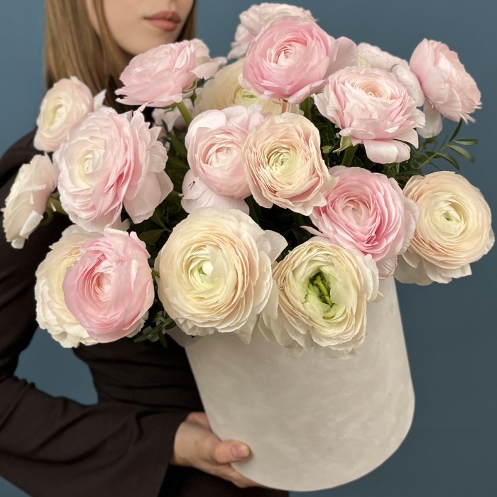 25 пышных розовых и розово-белых Ранункулбсов в коробке