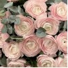 25 пышных розовых ранункулюсов с эвкалиптом