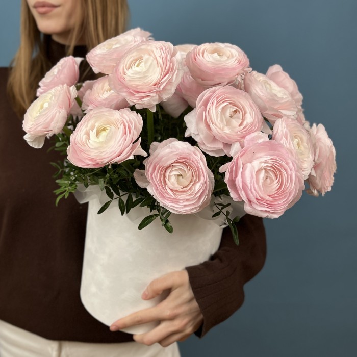 25 пышных розовых ранункулюсов в бархатной коробке