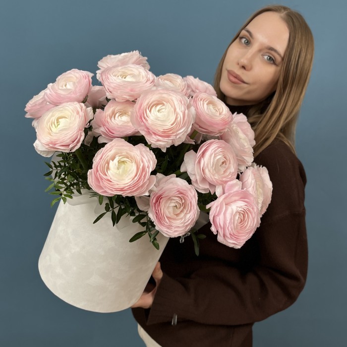 25 пышных розовых ранункулюсов в бархатной коробке