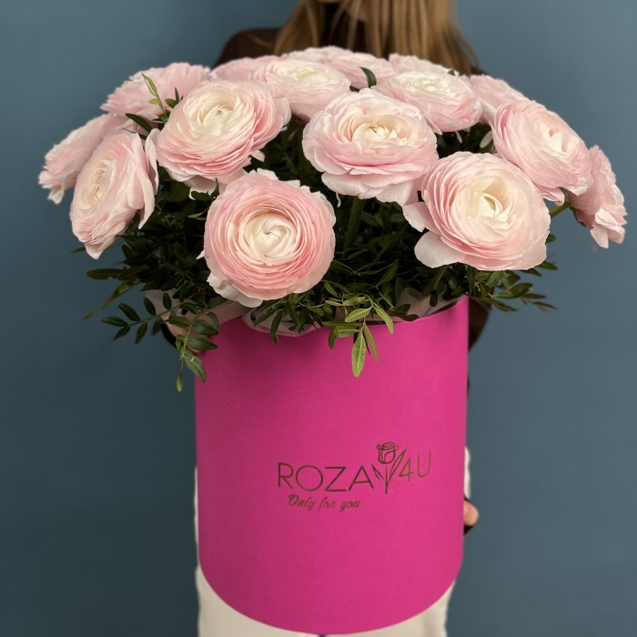 25 пышных розовых ранункулюсов в коробке