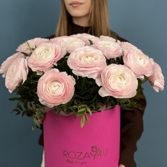 25 пышных розовых ранункулюсов в коробке