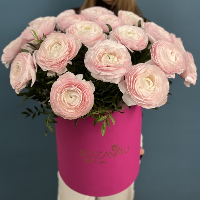 25 пышных розовых ранункулюсов в коробке