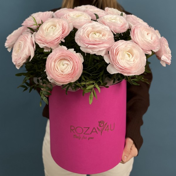 25 пышных розовых ранункулюсов в коробке