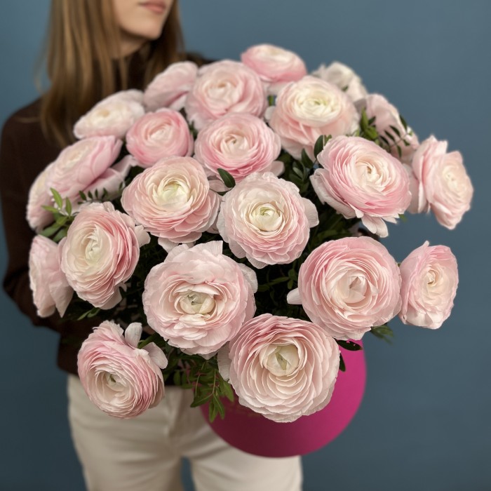 25 пышных розовых ранункулюсов в коробке