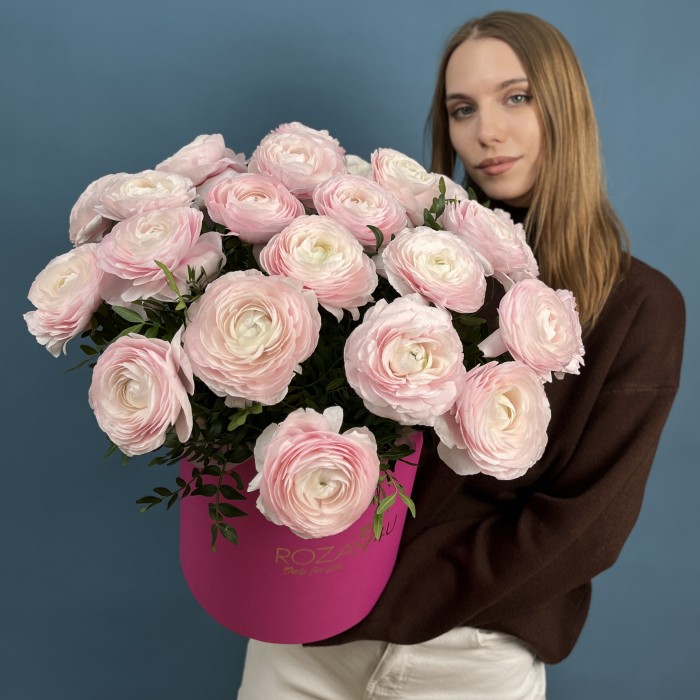 25 пышных розовых ранункулюсов в коробке