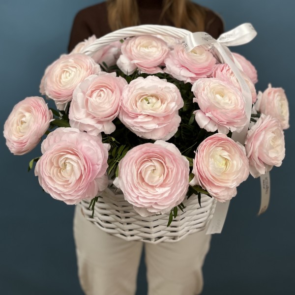 25 пышных розовых ранункулюсов в корзине