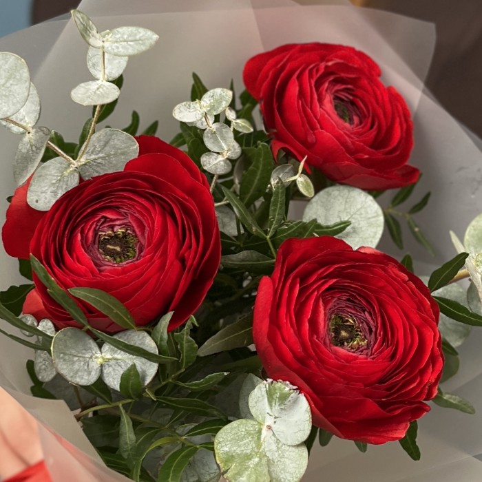 3 пышных красных Ранункулюса с эвкалиптом