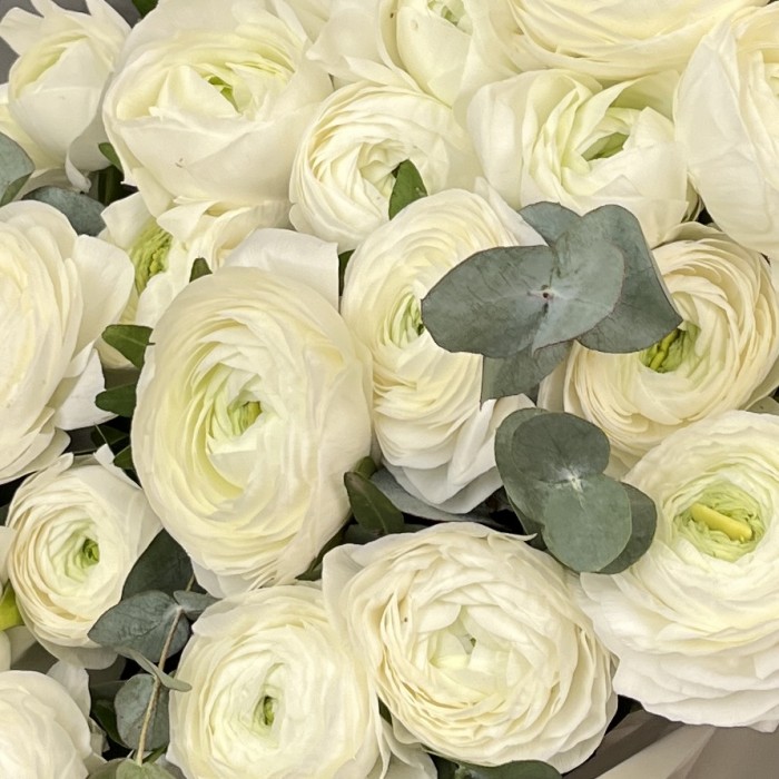31 пышный белый Ранункулюс с эвкалиптом