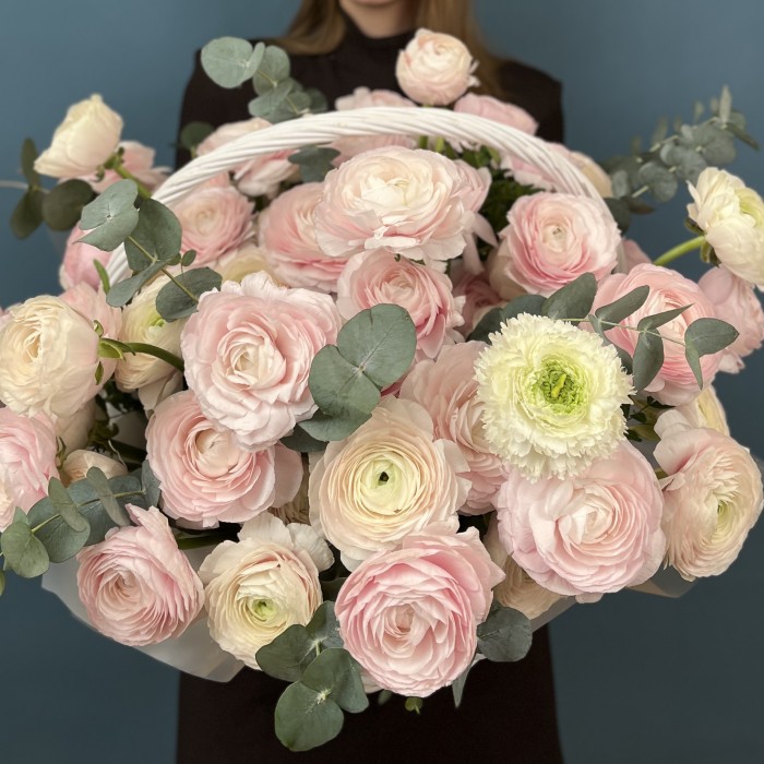 51 пышный розовый и нежно-розовый ранункулюс в корзине