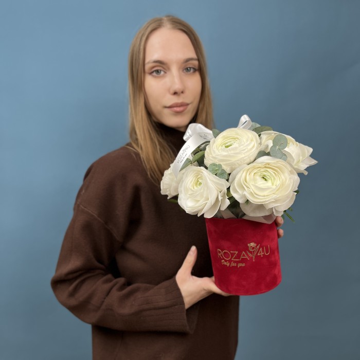 7 пышных белых ранункулюсов в бархатной коробке