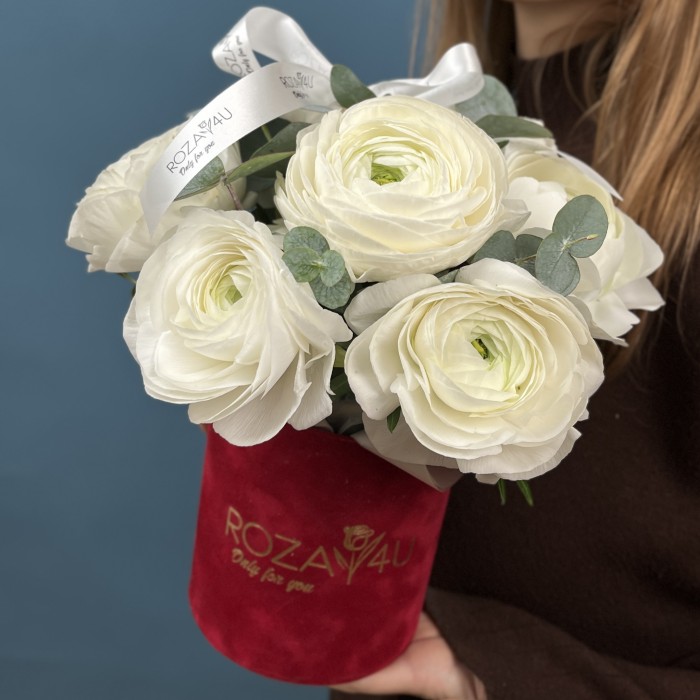 7 пышных белых ранункулюсов в бархатной коробке