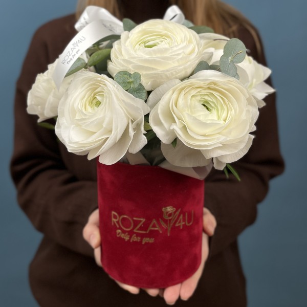 7 пышных белых ранункулюсов в бархатной коробке