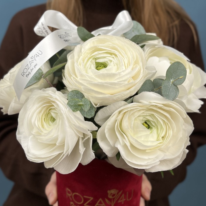 7 пышных белых ранункулюсов в бархатной коробке