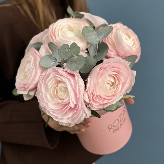 7 пышных розовых ранункулюсов в коробке