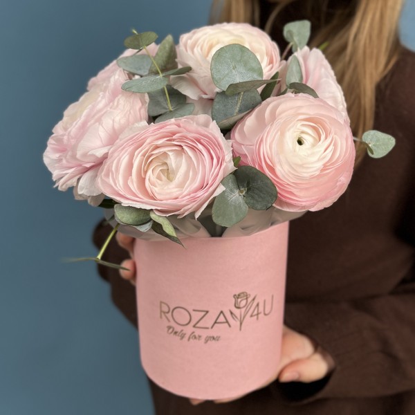 7 пышных розовых ранункулюсов в коробке