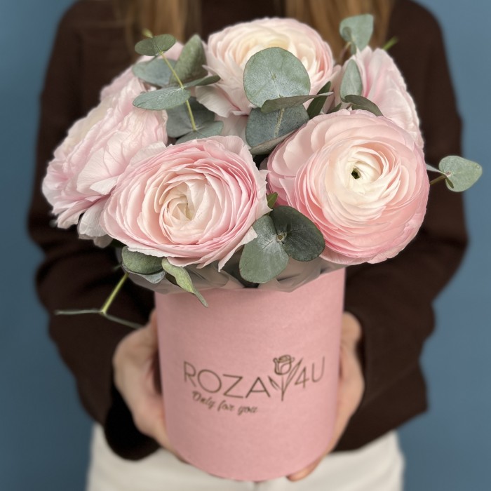 7 пышных розовых ранункулюсов в коробке