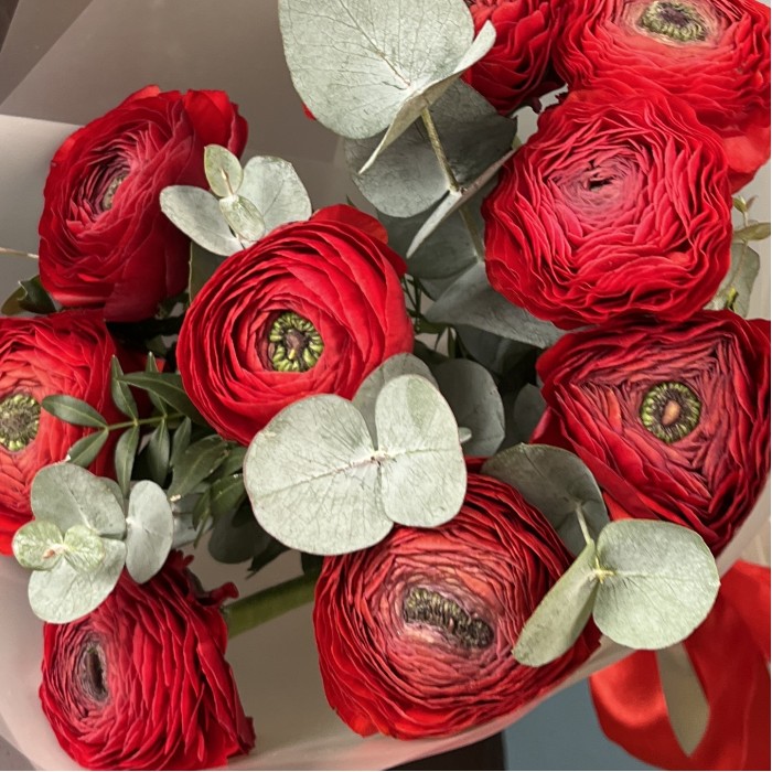 9 пышных красных Ранункулюса с эвкалиптом