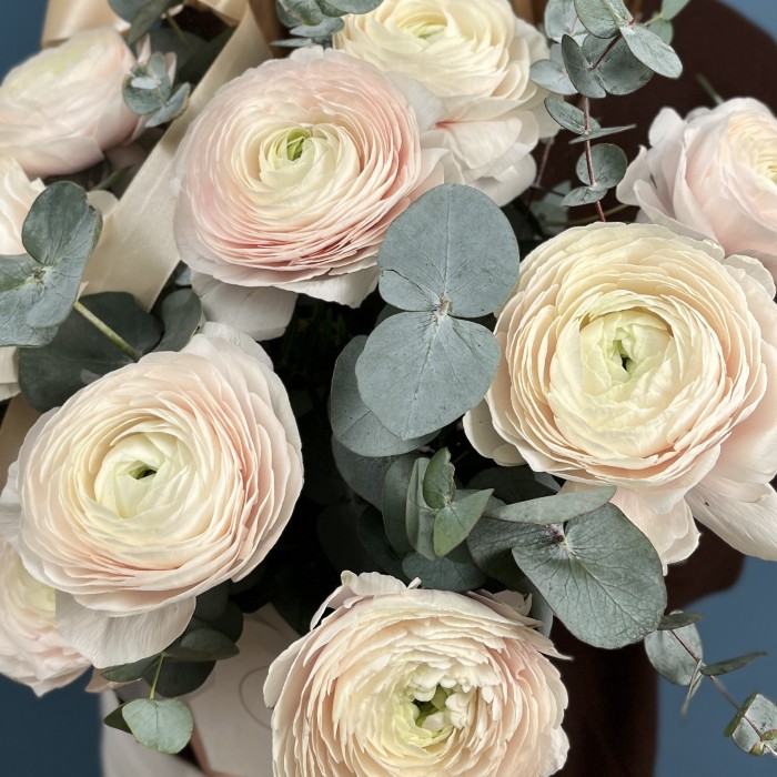 9 пышных ранункулюсов Ханой в квадратной коробке