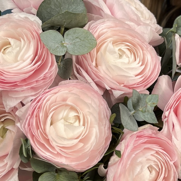 9 пышных розовых ранункулюсов в квадратной коробке