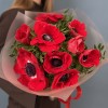 9 ярких красных Анемонов