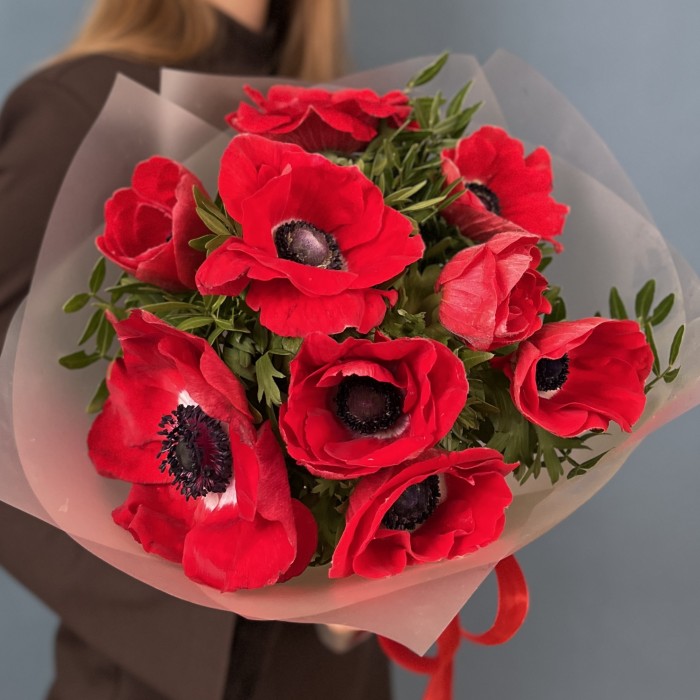 9 ярких красных Анемонов