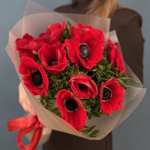 9 ярких красных Анемонов