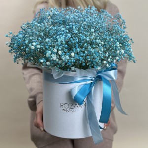 15 голубых гипсофил в коробке