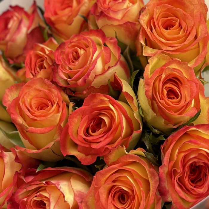 15 оранжево-желтых роз Инка 40 см