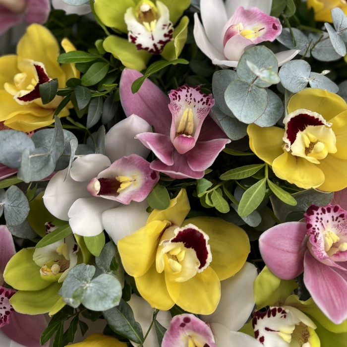 Букет из орхидей Праздничный микс