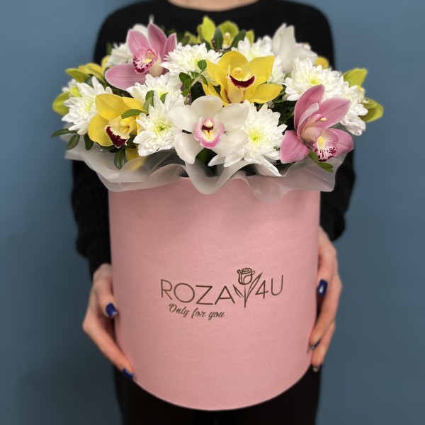 Орхидеи в коробке Праздничный микс