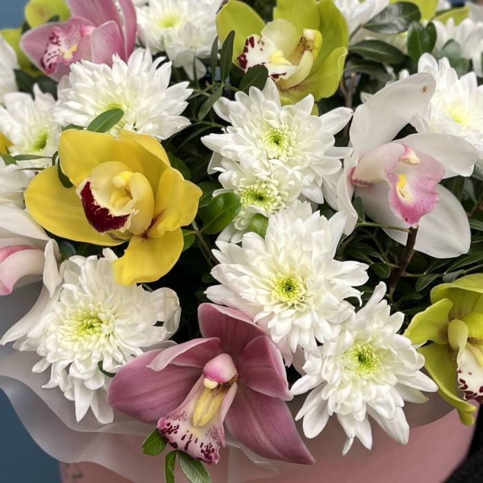 Орхидеи в коробке Праздничный микс